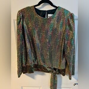 VTG Another Thyme Iridescent Rainbow Sparkle Blouse Going Out Holiday Party Fun